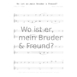 Wo ist er, mein Bruder und...