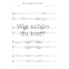 Das schönste aller Lieder- Leichte Duette II (Flöte & Violine) (E-Book)
